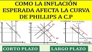 COMO LA INFLACION ESPERADA DESPLAZA LA CURVA DE PHILLIPS A CP [upl. by Leonore]