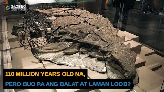 Dinosaur na Buo pa ang Balat at Laman Loob Ipinakita sa Isang Museum [upl. by Dnalyaw]