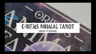 Oriens Animal Tarot Rockpool Edition Quick Walkthrough [upl. by Brianne]