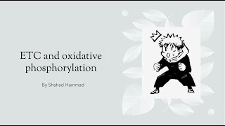 The Respiratory Chain and Oxidative Phosphorylation  Shahad Hammad  MOL 114 PAL review session [upl. by Yrral354]