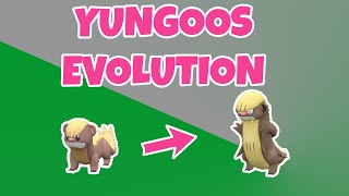 How to Evolve Yungoos  Gumshoos  Pokemon Scarlet amp Violet [upl. by Chaing]