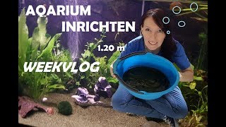 AQUARIUM inrichten nieuwe vissen en planten WEEKVLOG [upl. by Sikata]