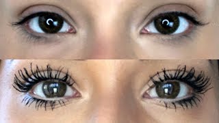 MY LASH TRANSFORMATION  HOW MY LASHES GOT LONGER AND FULLER LOOKING [upl. by Boniface305]