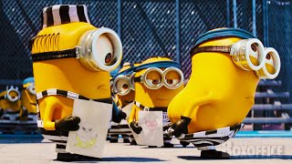 Despicable Me Funniest Scenes with Minions ⚡ 4K [upl. by Lorou]