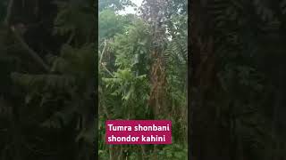 Tumra shonbani shondor kahini [upl. by Dotson407]