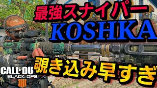 【BO4実況】最後のスナイパー「KOSHKA」がまじで覗き込み早すぎて強すぎたｗｗ【津軽弁】 [upl. by Lenahtan]