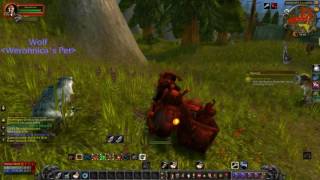 World Of Warcraft Quest Info Bird is the Word [upl. by Onitsuaf]