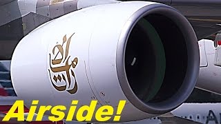 Airbus A380 engine start up INCREDIBLE SOUND very close An object goes inside engine [upl. by Nitaj486]