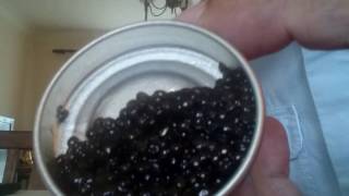 Sturgeon Caviar Review  Beluga Royal Baerii Asetra  Ossetra Caviar [upl. by Shimkus]