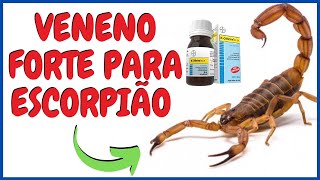 Veneno de Escorpião Forte Veneno para matar escorpião  como matar escorpiões com remédio [upl. by Droffats]