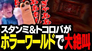 ホラーワールドに入ってしまい、あまりの怖さに絶叫するトコロバ＆スタンミじゃぱん【VRChat】 [upl. by Agnew]