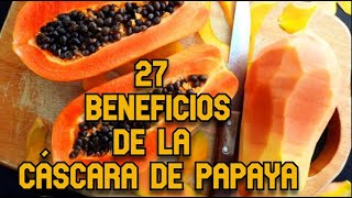 27 Beneficios de la Cáscara de Papaya [upl. by Amasa]