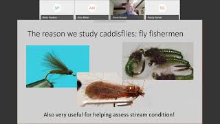 Introduction to EPTs  Trichoptera Caddisflies [upl. by Rina]