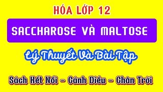 Hóa Lớp 12  SACCHAROSE VÀ MALTOSE Sách Kết Nối  Cánh Diều  Chân Trời [upl. by Alysia]