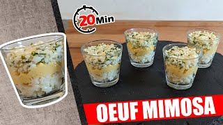 VERRINE SALEE ENTREE DELICIEUSE OEUF MIMOSA FACILE POUR DEBUTANT [upl. by Llerraj]