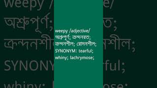 weepy শব্দের অর্থ কী  weepy Meaning in Bengali  Ovinary [upl. by Price]