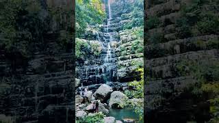 TALAKONA FALLSANDRA nature trending travel talakona waterfall [upl. by Inna]