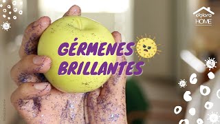 Gérmenes brillantes 🦠  Experimentos de ciencia en casa [upl. by Adila]