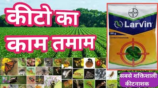 कीटों का काम तमाम । Larvin Insecticide । Larvin । Bayer Larvin Insecticide । Thiodicarb 75 WP [upl. by Riada]