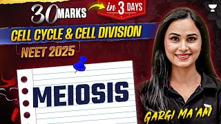 30 Marks in 3 Days Cell Cycle amp Cell Division Meiosis  Gargi Singh [upl. by Aielam]