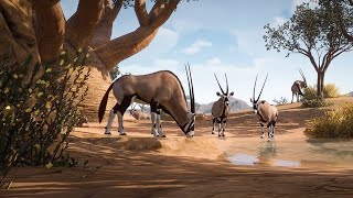 PLANET ZOO Gemsbok Habitat Build [upl. by Liagiba877]