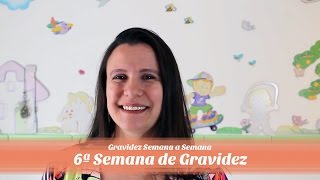 6ª Semana de gravidez [upl. by Morgan136]