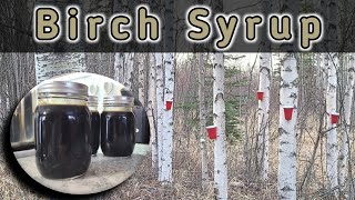 Making Birch Syrup From Start to Finish [upl. by Luelle]