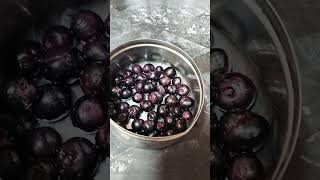 Taste jamun fruit  naval palam benefits in tamilhealthtips ytshorts [upl. by Esirehc274]