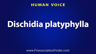 How To Pronounce Dischidia platyphylla [upl. by Notsa]