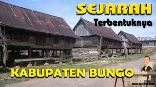 SEJARAH TERBENTUKNYA KABUPATEN BUNGO  PROPINSI JAMBI DAN WAFATNYA SULTAN THAHA [upl. by Kenward]