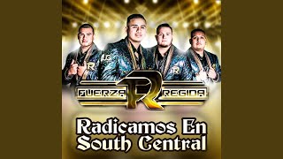 Radicamos En South Central  Fuerza Regida quotEPICENTER HDquot [upl. by Sassan]