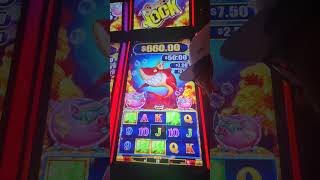 Winning some free play seed money on Shark Link with Eel bonus retrigger [upl. by Ahseyi839]