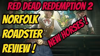 Norfolk Roadster Review  Red Dead Redemption 2 RDR2 [upl. by Aimekahs]