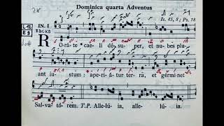 Rorate caeli desuper  Ad introitum Dom IV in Adventu  Gregorian [upl. by Bloom]