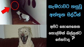 කැමරාවට හසුවූ හොල්මන් Part 21 Paranormal Activity kazzai holman wishwa gaweshaka holman holman [upl. by Aihtyc]