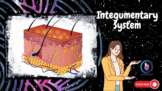 Lesson 110  Integumentary System [upl. by Weaver111]