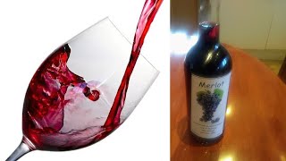 How to make wine at home with a Solomon Grundy Merlot 30 bottle wine kit part 2 [upl. by Nancy]