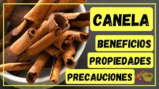 CANELA BENEFICIOS PROPIEDADES Y PRECAUCIONES 🟤 [upl. by Aisel840]