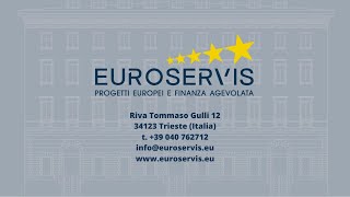 Euroservis  Progetti europei e finanza agevolata [upl. by Chapin]