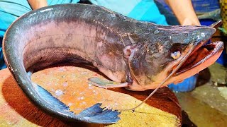 Amazing Giant Wallago Attu Catfish Cutting Skills In Bangladesh Fish Market [upl. by Carmelo359]