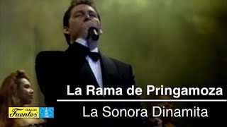 LA RAMA DE PRINGAMOZA  La Sonora Dinamita  Discos Fuentes [upl. by Ubana612]