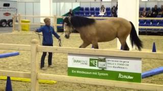 Equitana 2015  Equikinetik mit Pferdefluesterer Michael Geitner [upl. by Nonarb513]