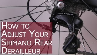 How to Change Your Rear Derailleur  Replacing Your Bikes Rear Mech [upl. by Leonore]