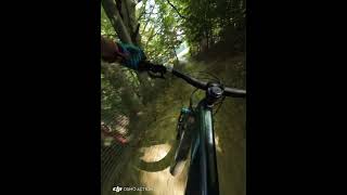 bikepark Słotwiny Arena  Dzida downhill bike sunny day enduro mtb goodvibes [upl. by Ertha]