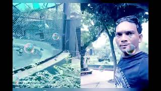 Kolkata Zoological park west bangal [upl. by Betz]