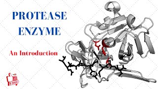 PROTEASE ENZYME An Introduction [upl. by Ehrenberg35]