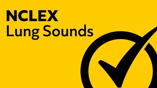 Lung Sounds  NCLEX Review [upl. by Josephina]