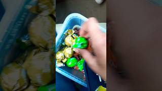 AMUL truffles review asmr unboxing shorts [upl. by Lahsiv]