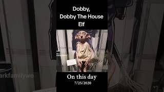 Dobby The House Elf shorts Harry Potters Favourite Elf at Warner Bros Studio Tour Hollywood [upl. by Mauer937]