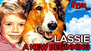 LASSIE  A NEW BEGINNING  Full FAMILY PUPPY Movie in ENGLISH [upl. by Vittorio]